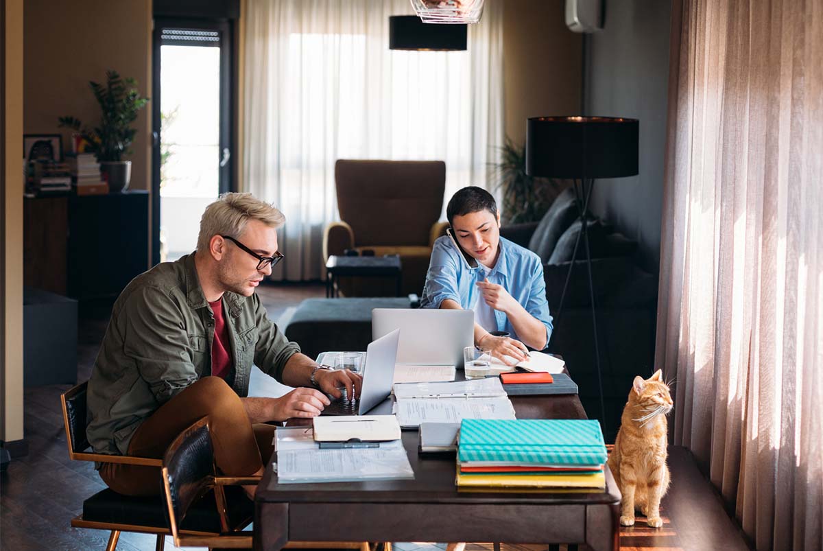 Two people and cat working in home office