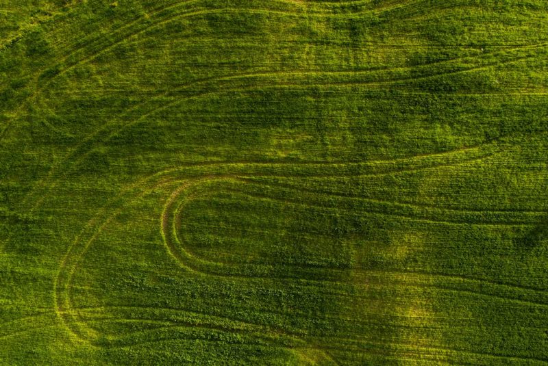 An aerial view of a piece of land