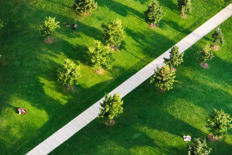 Path through a park